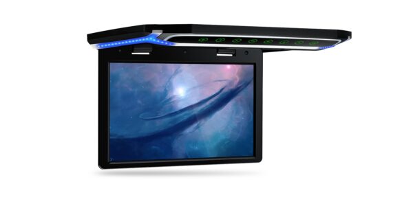 Deckenmonitor | CM101HD